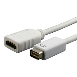 Mini DVI to HDMI Cable Adapter/ 6-foot HDMI Cable