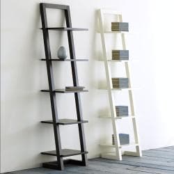 book shelf ladder