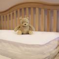 Allergy Control Crib Mattress Cover