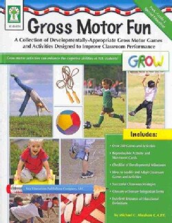 Gross Motor Fun: A Collection of Developmentally Age-appropriate Gross Motor Activities Designed to Improve Class... (Paperback)