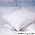 BedBug Allergen Barrier Bed Pillow