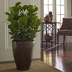 (^ ^)// Polyresin Wood Grain Planter (Indonesia)