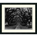 Monte Nagler 'Path in the Oaks 2, Louisiana' Framed Art Print