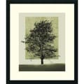 Harold Silverman 'Nature's Shapes II' Framed Art Print