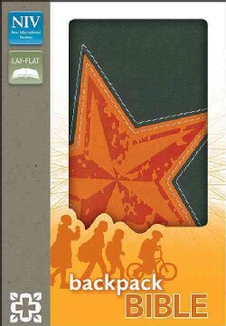 Holy Bible: New International Version Galaxy Gray Italian Duo-Tone Backpack Bible (Paperback)