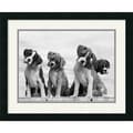 Sharon Beals 'Wonder' Framed Art Print