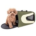 Pet Life Large Green Mesh Carrier