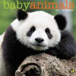 Baby Animals 2011 Calendar (Calendar)