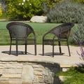 Christopher Knight Home Wicker Fan Back Indoor/ Outdoor Club Chairs (Set of 2)