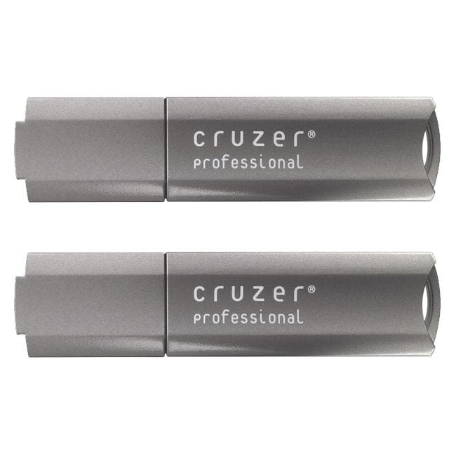 SanDisk 4GB Cruzer Professional USB Flash Drive (Pack of 2)