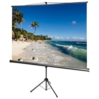 AccuScreens Manual Projection Screen - 136" - 1:1