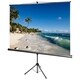 AccuScreens Manual Projection Screen - 136" - 1:1