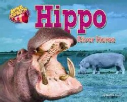 Hippo: River Horse (Hardcover)