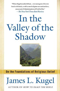 In the Valley of the Shadow: On the Foundations of Religious Belief (Paperback)