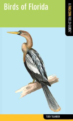 Birds of Florida: A Falcon Field Guide (Paperback)