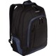 Targus TSB196US Carrying Case (Backpack) for 16" Notebook - Black, Na