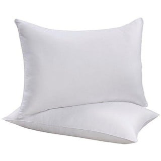 Back-to-School Bed Pillows (Set of 2)