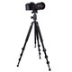 Dolica PROLINE GX600B200 Floor Standing Tripod