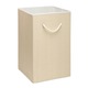 Honey Can Do HMP-01453 Large Resin Square Hamper