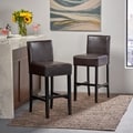 Christopher Knight Home Brown Leather Bar Stools (Set of 2)