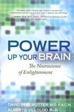 Power Up Your Brain (Paperback)