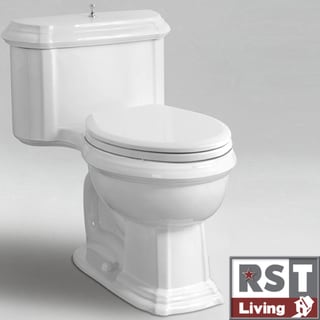 RST Living Icera Vanier Chair-height Elongated White One-piece Toilet