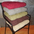 Elegance Chenille Non-slip Chair Pads (Set of 4)
