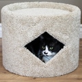 New Cat Condos Cat Cave