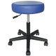 Rolling Adjustable Blue Medical/ Massage Stool