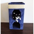 New Cat Condos Double Cat Tower