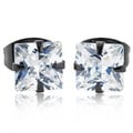 Stainless Steel 5 mm Cubic Zirconia Stud Earrings