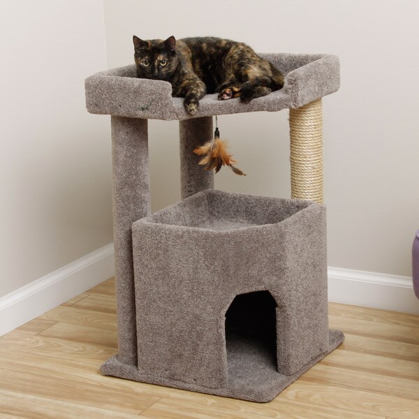 Cat Condo instal the last version for mac