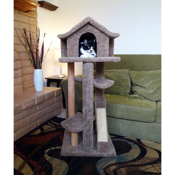 free Cat Condo for iphone instal