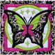 Quilt Magic Multicolored Butterfly II Quilt Magic Kit (12 inches Square)