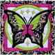 Quilt Magic Multicolored Butterfly II Quilt Magic Kit (12 inches Square)
