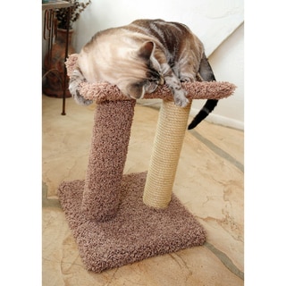 best cat scratch rope