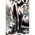 Maxwell Dickson 'Lady' Canvas Wall Art