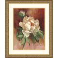 Barbara Mock 'White Peonies II' Framed Art Print