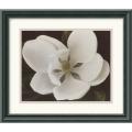 Dianne Poinski 'Southern Charmer I' Framed Art Print