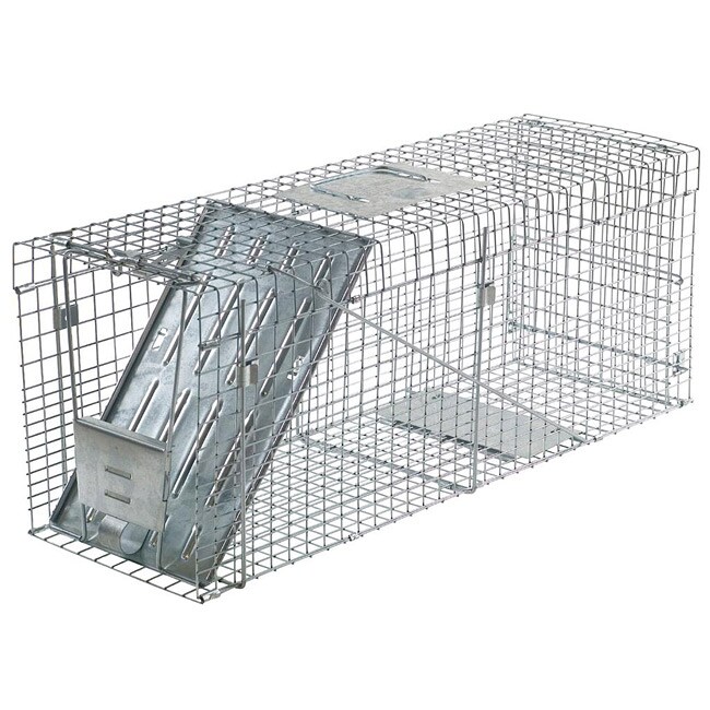 Woodstream Racoon Trap