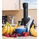 Yonanas Frozen Treat Maker