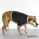 American Apparel Baby Rib Dog Tee