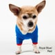 American Apparel Baby Rib Dog Tee