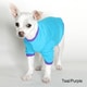 American Apparel Baby Rib Dog Tee
