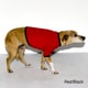 American Apparel Baby Rib Dog Tee