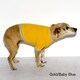 American Apparel Baby Rib Dog Tee