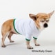 American Apparel Baby Rib Dog Tee