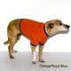 American Apparel Baby Rib Dog Tee