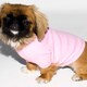 American Apparel Baby Rib Dog Tee