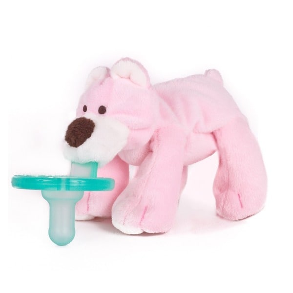 toy bear with pacifier